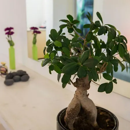 Iliada-odysseas מלון פריסה